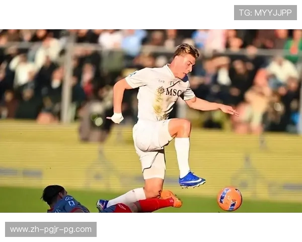 西汉姆联现任英超主教练简介与背景